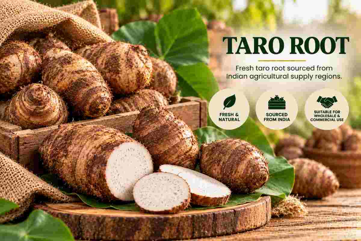 Fresh taro root from India